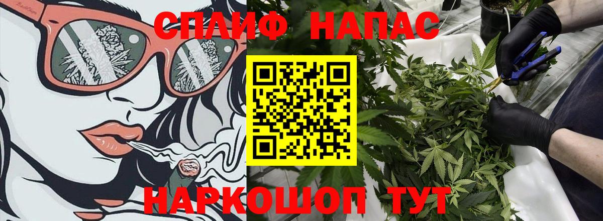 Бошки марихуана индика  Марихуана план  Бошки Шишки план  МАРИХУАНА Bruce Banner  Вход с VPN  Набережные Челны 