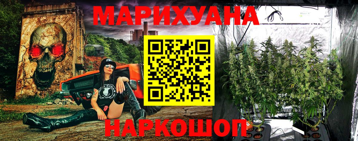 Каннабис сатива Набережные Челны